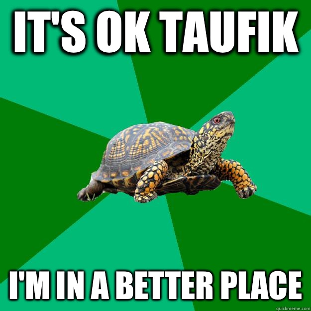 It's ok Taufik  I'm in a better place  Torrenting Turtle