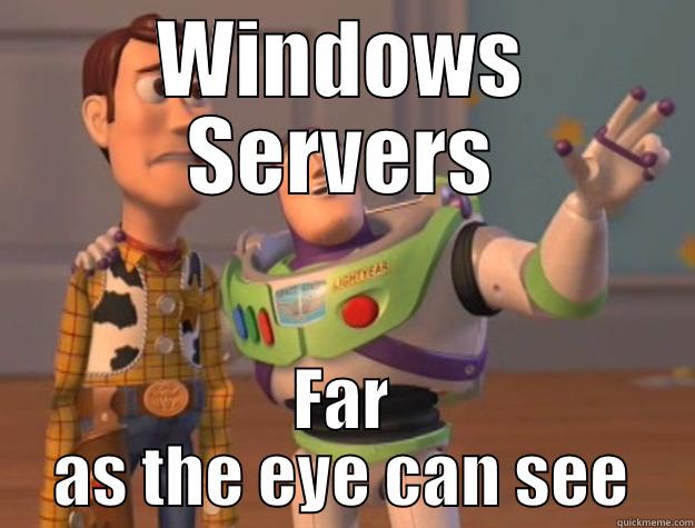 WINDOWS SERVERS FAR AS THE EYE CAN SEE Toy Story