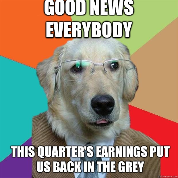 Good news everybody This quarter's earnings put us back in the grey  Business Dog