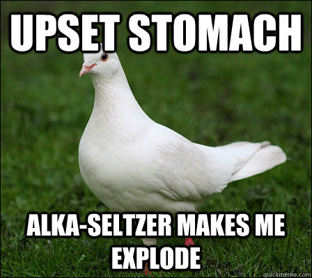 Upset stomach Alka-seltzer makes me explode - Upset stomach Alka-seltzer makes me explode  bird world problems