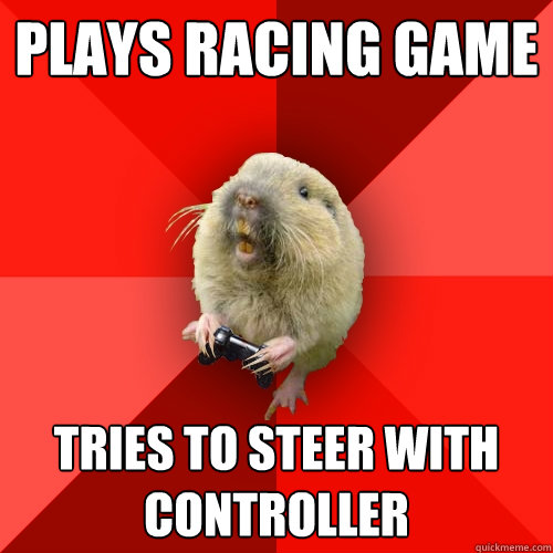 PLAYS RACING GAME Tries to steer with controller  Gaming Gopher