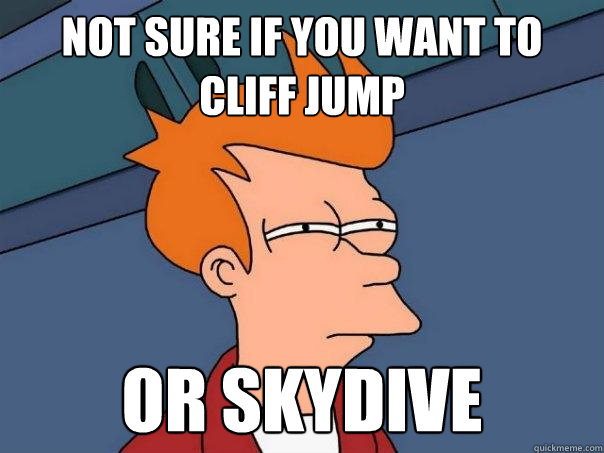 Not sure if you want to cliff jump  Or Skydive  Futurama Fry