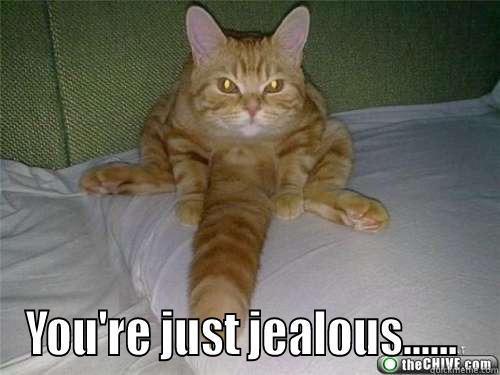 rude cat -  YOU'RE JUST JEALOUS......  Misc