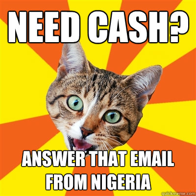 Need Cash? Answer that email from Nigeria  Bad Advice Cat