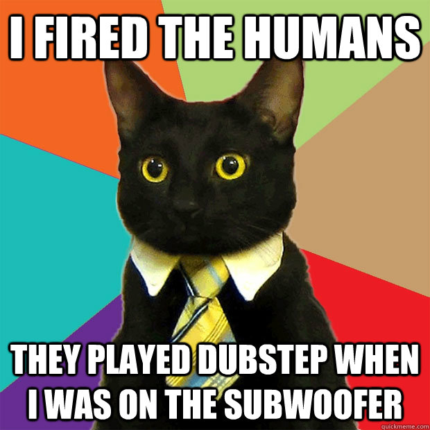 i fired the humans they played dubstep when i was on the subwoofer  Business Cat