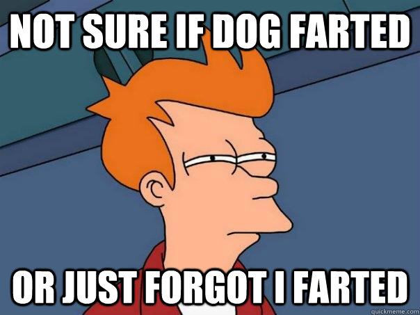 not sure if dog farted or just forgot i farted  Futurama Fry