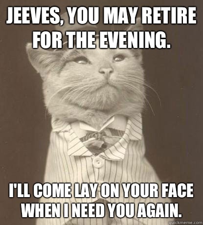 Jeeves, you may retire for the evening. I'll come lay on your face when I need you again.   Aristocat