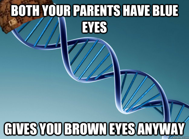 Both your parents have blue eyes gives you brown eyes anyway - Both your parents have blue eyes gives you brown eyes anyway  Scumbag Genetics