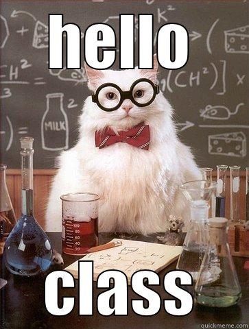 HELLO CLASS Chemistry Cat