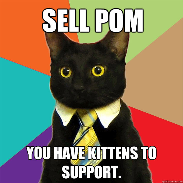 Sell POM You have kittens to support.  Business Cat