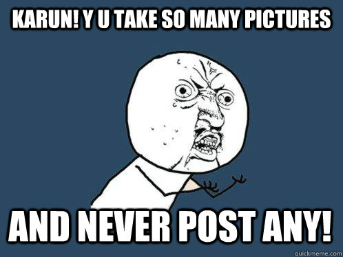 karun! Y U take so many pictures and never post any!  Y U No