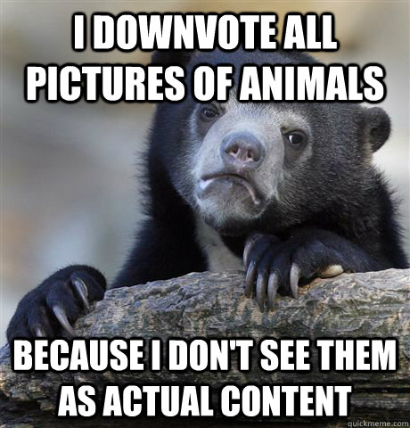 I downvote all pictures of animals because I don't see them as actual content  Confession Bear