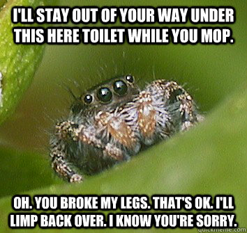 I'll stay out of your way under this here toilet while you mop. Oh. You broke my legs. That's ok. I'll limp back over. I know you're sorry.  Misunderstood Spider