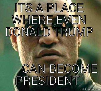 ITS A PLACE WHERE EVEN DONALD TRUMP          CAN BECOME PRESIDENT  Matrix Morpheus