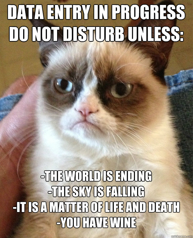 Data Entry In Progress
Do Not Disturb Unless: -The World is Ending
-The Sky is Falling
-It is a matter of life and death
-you have wine  Grumpy Cat