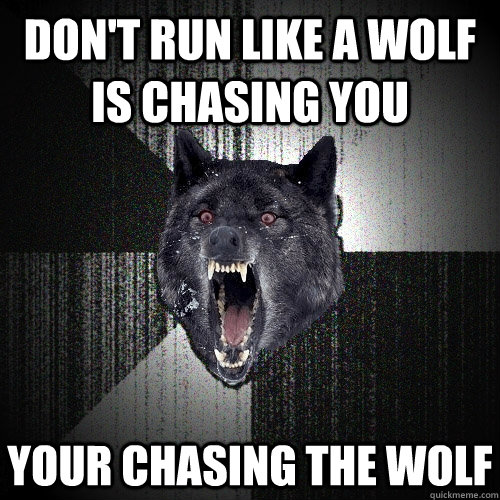 Don't Run Like a wolf is chasing you Your chasing the wolf  Insanity Wolf