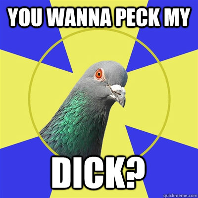 You wanna peck my Dick?  Religion Pigeon