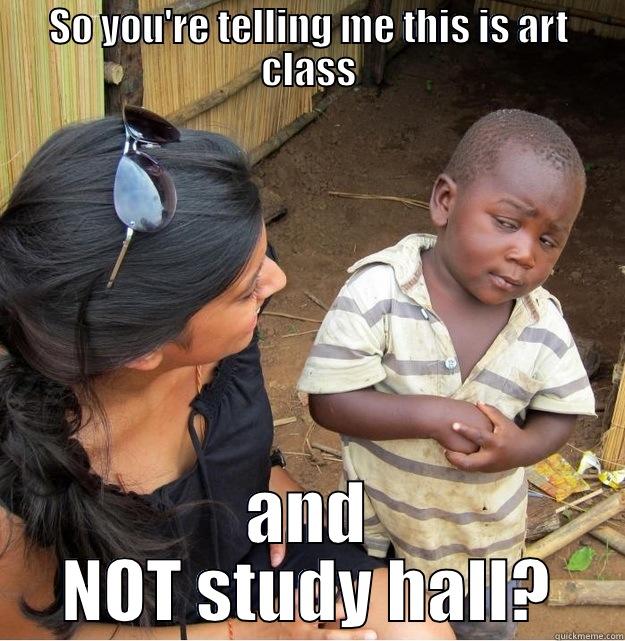 SO YOU'RE TELLING ME THIS IS ART CLASS AND NOT STUDY HALL? Skeptical Third World Kid