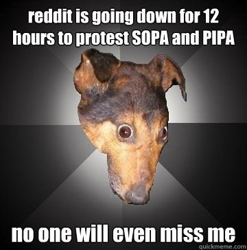 reddit is going down for 12 hours to protest SOPA and PIPA
 no one will even miss me  Depression Dog