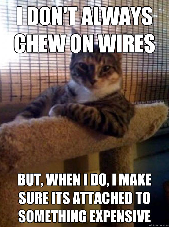 I don't always chew on wires But, when I do, I make sure its attached to something expensive - I don't always chew on wires But, when I do, I make sure its attached to something expensive  The Most Interesting Cat in the World