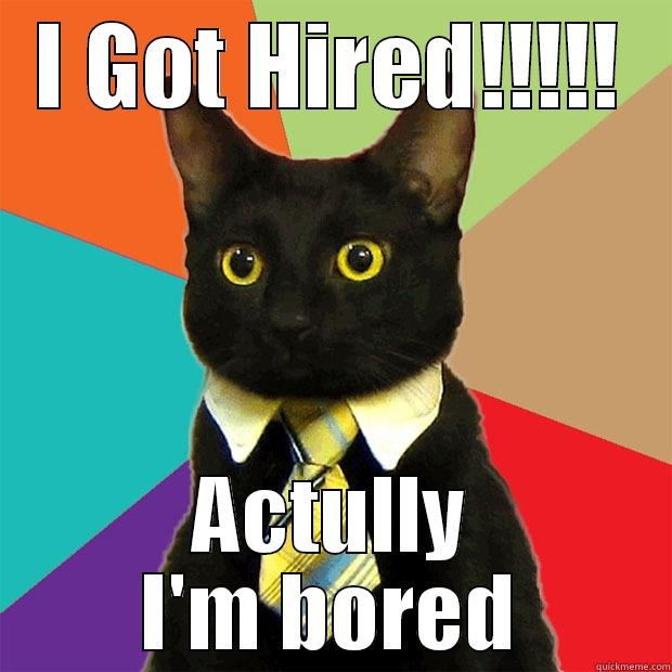 I GOT HIRED!!!!! ACTULLY I'M BORED Business Cat