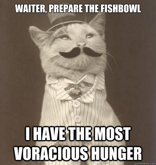 Waiter, prepare the fishbowl I have the most voracious hunger - Waiter, prepare the fishbowl I have the most voracious hunger  Original Business Cat
