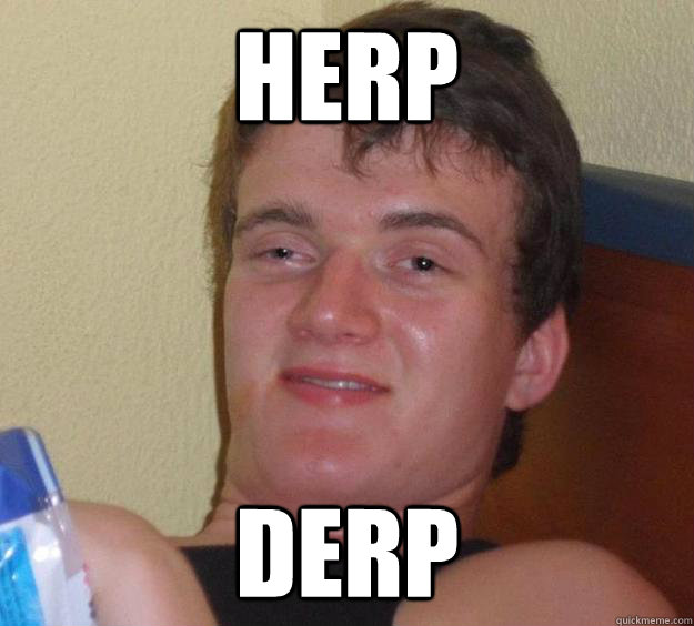 herp derp  10 Guy