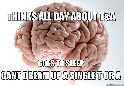 Thinks all day about t&a goes to sleep.   cant dream up a single t or a  Scumbag Brain