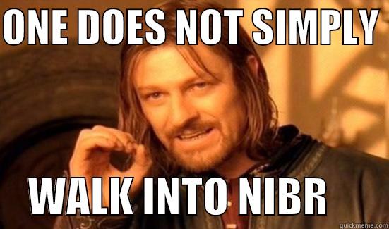 ONE DOES NOT SIMPLY      WALK INTO NIBR       Boromir