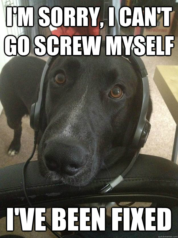 I'm sorry, I can't go screw myself I've been fixed - I'm sorry, I can't go screw myself I've been fixed  Gamer Dog