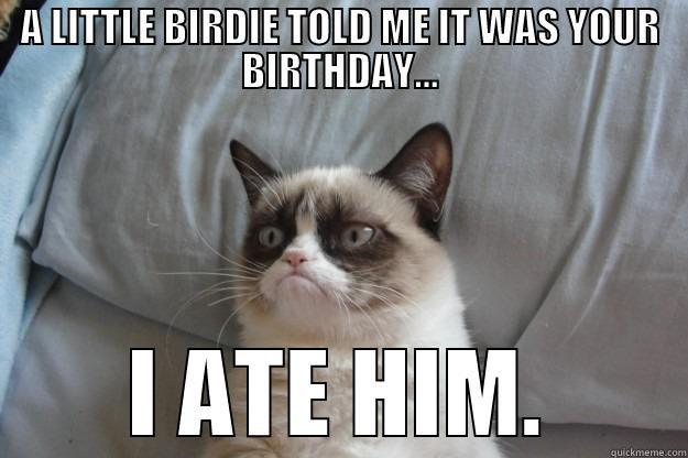 A LITTLE BIRDIE TOLD ME IT WAS YOUR BIRTHDAY... I ATE HIM. Grumpy Cat