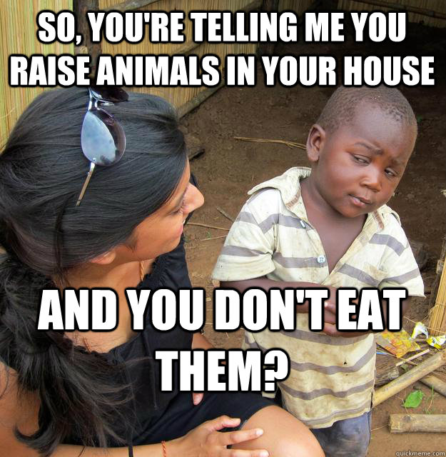 So, you're telling me you raise animals in your house and you don't eat them?  