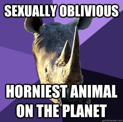 Sexually oblivious Horniest animal on the planet  Sexually Oblivious Rhino