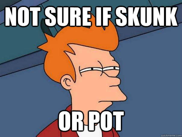 Not sure if skunk Or pot  Futurama Fry