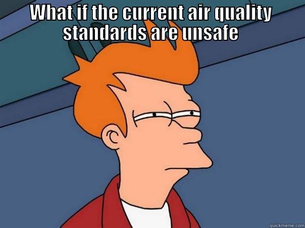 WHAT IF THE CURRENT AIR QUALITY STANDARDS ARE UNSAFE  Futurama Fry