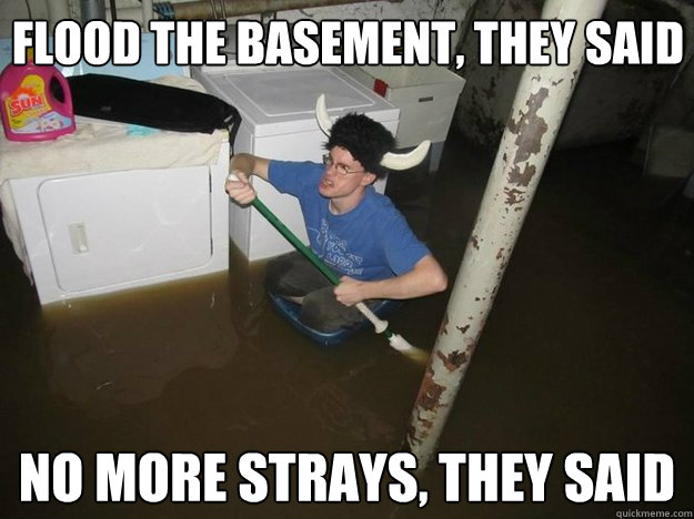 Flood the basement, they said no more strays, they said  Do the laundry they said