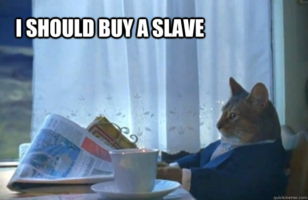 i should buy a slave  Sophisticated Cat