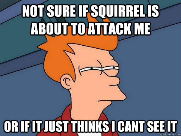 Not sure if squirrel is about to attack me Or if it just thinks I cant see it  Futurama Fry