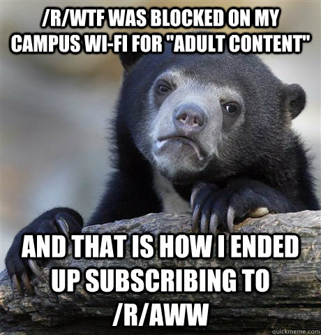 /r/wtf was blocked on my campus wi-fi for 