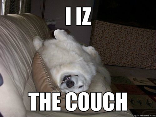 I iz the couch  10 Dog