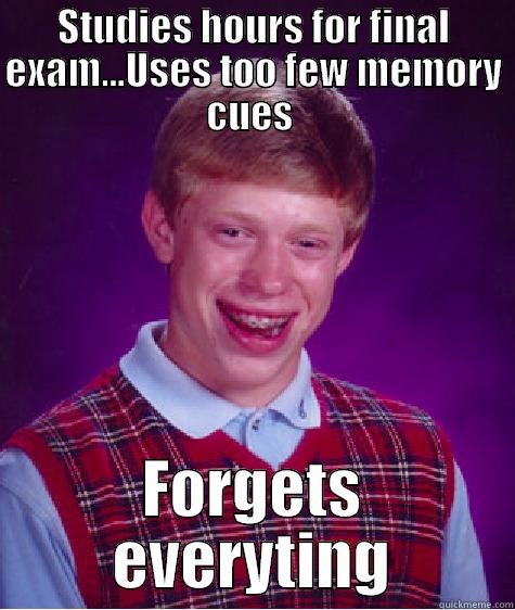 STUDIES HOURS FOR FINAL EXAM...USES TOO FEW MEMORY CUES  FORGETS EVERYTING Bad Luck Brian