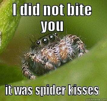 I DID NOT BITE YOU IT WAS SPIDER KISSES Misunderstood Spider