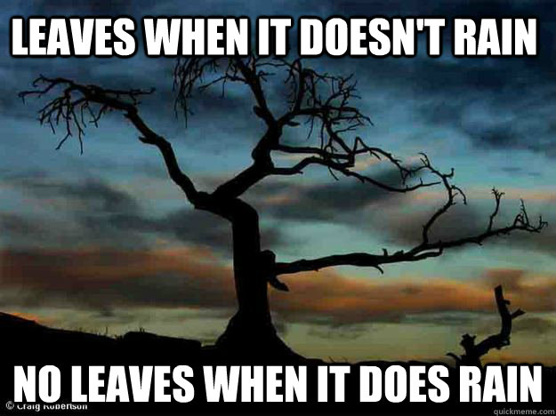 Leaves when it doesn't rain No leaves when it does rain - Leaves when it doesn't rain No leaves when it does rain  Misc