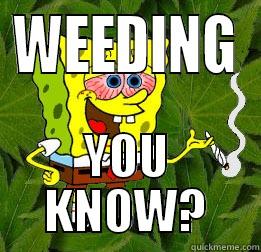 Spongebob weed - WEEDING YOU KNOW? Misc