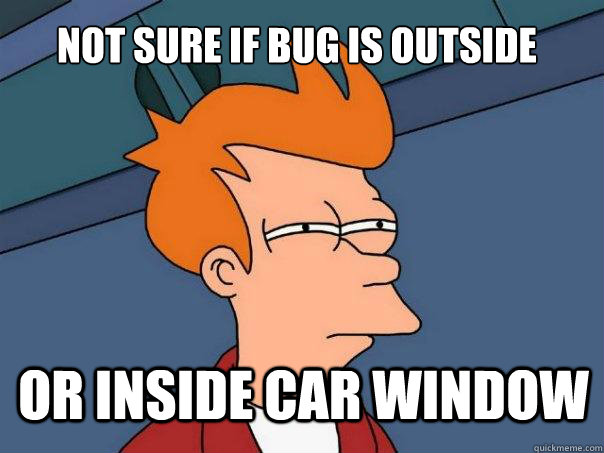 not sure if bug is outside  or inside car window  Futurama Fry