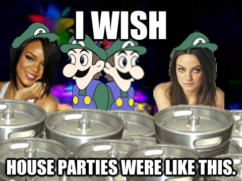 I wish House Parties Were like this.  house party luigi