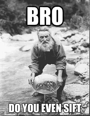 Bro Do you even sift - Bro Do you even sift  panning for gold
