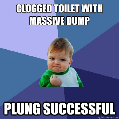 Clogged toilet with massive dump Plung Successful  Success Kid