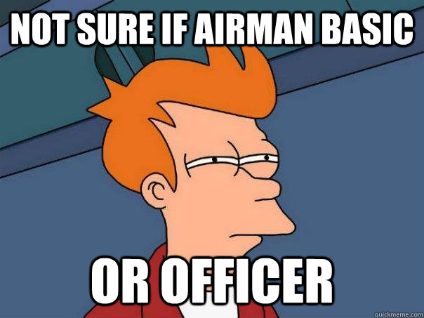 Not sure if Airman Basic Or officer  Futurama Fry