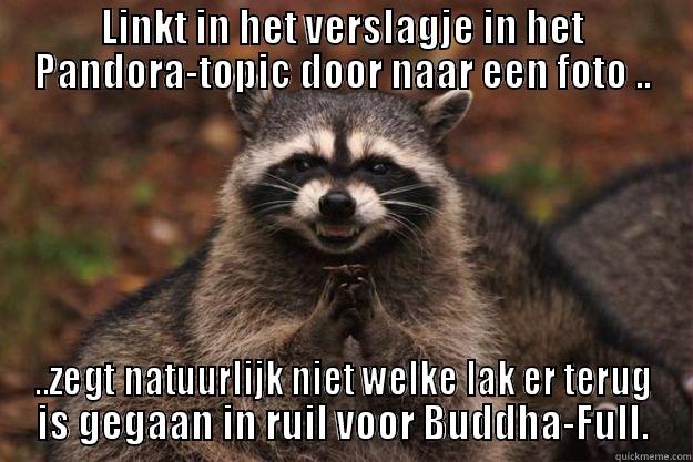 LINKT IN HET VERSLAGJE IN HET PANDORA-TOPIC DOOR NAAR EEN FOTO .. ..ZEGT NATUURLIJK NIET WELKE LAK ER TERUG IS GEGAAN IN RUIL VOOR BUDDHA-FULL. Evil Plotting Raccoon